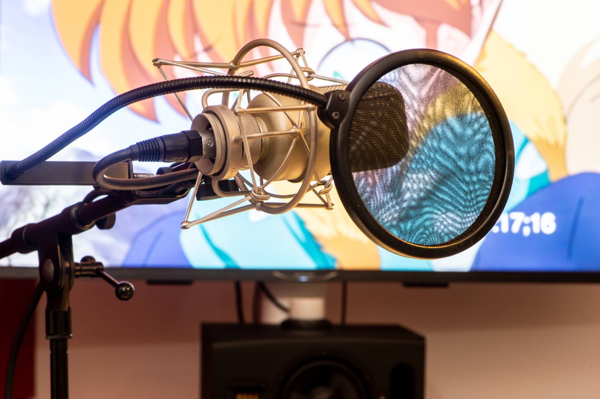 Sprachaufnahmen für Synchron und Voiceover in vielen Sprachen 